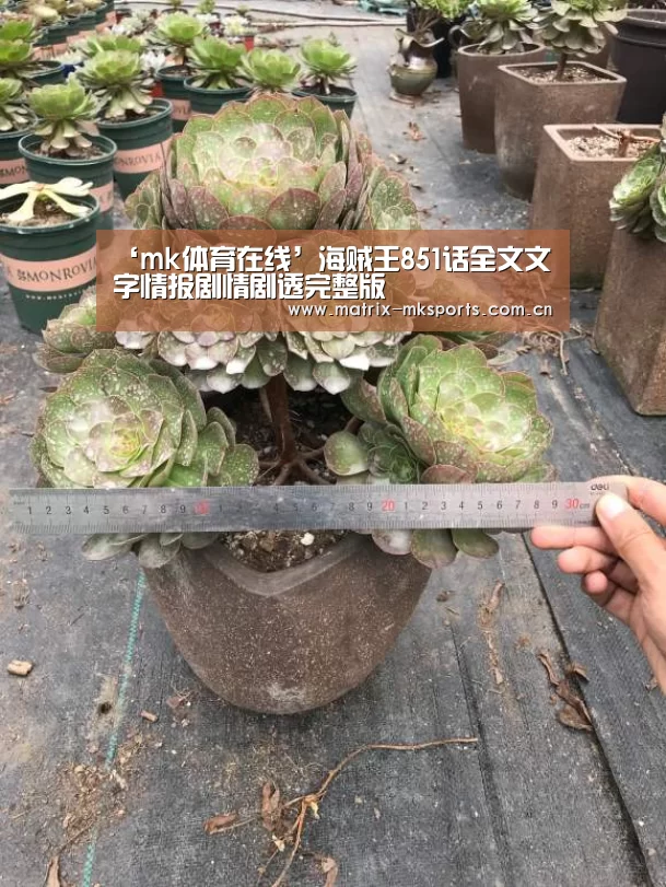 ‘mk体育在线’海贼王851话全文文字情报剧情剧透完整版(图1) mk体育注册