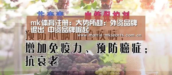 mk体育注册:大势所趋:外资品牌退出 中资品牌崛起(图1) mk体育下载