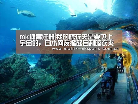 mk体育注册|我的晾衣夹是要飞上宇宙的,日本网友掀起自制晾衣夹机器人的热潮(图2) mk体育下载
