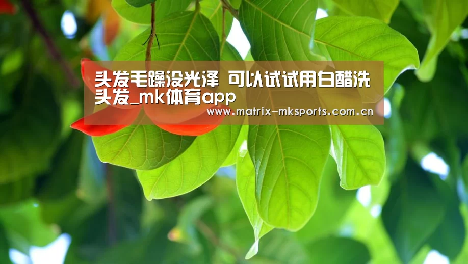 mk体育app